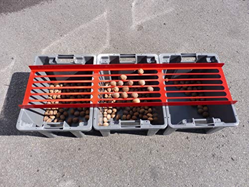 Tammy - Kalibriersieb für Nusshandknacker (für Haselnüsse) von Feucht Obst und Nusstechnik - Made in Germany von Feucht Obsttechnik