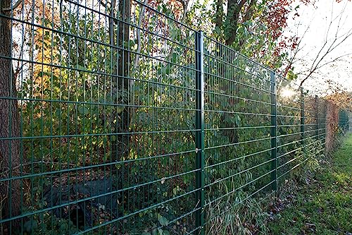 Doppelstabmattenzaun Komplett Set 868 Moosgrün | Mit Abdeckflachleiste| Gartenzaun Stabmattenzaun Neu 25-103 cm von Feuer-Zaun