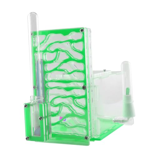 FewNvWa Ameisenfarm Aus Acryl mit Futterplatz Und Belüftung für Kinder Und Naturbegeisterte, GrÜn FewNvWa Ameisenfarm Aus Acryl mit Futterplatz Und Belüftung für Kinder Und Naturbegeisterte, GrÜn von FewNvWa