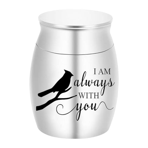 FewNvWa Einäscherungs Erinnerungsbox für Haustiere mit Erinnerungsfunktionen für Kaninchen Und Kätzchen, Silber von FewNvWa