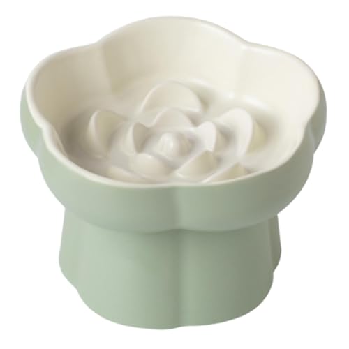 FewNvWa Katzennapf Keramischer Futternapf Futterbehälter Tiernapf Als Anti Schling mit Erhöhung für Langsames Fressen für Welpen Und Katzen, Beige Grün FewNvWa Katzennapf Keramischer Futternapf Futterbehälter Tiernapf Als Anti Schling mit Erhöhung für Langsames Fressen für Welpen Und Katzen, Beige Grün von FewNvWa