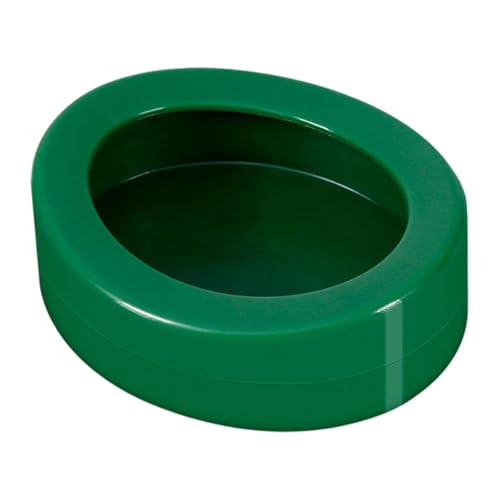 FewNvWa Reptilien Futterbehälter mit Einfacher Demontage Und Hygienischer Oberfläche Ideal für Sauberkeit für Terrarien Und Aquarien, GrÜn FewNvWa Reptilien Futterbehälter mit Einfacher Demontage Und Hygienischer Oberfläche Ideal für Sauberkeit für Terrarien Und Aquarien, GrÜn von FewNvWa