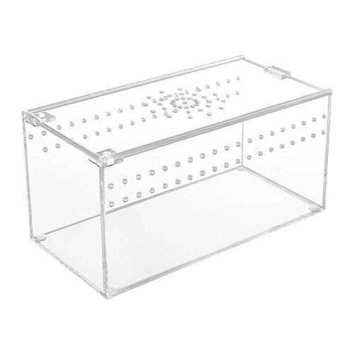 FewNvWa Reptilien Terrarium Acryl Behausung Tiergehege Zuchtbox Aquarienbehälter mit Stabilem Und Einfacher Reinigung für Amphibien Krebse Kleine Schil, 20.3 cm X 10.2 cm X FewNvWa Reptilien Terrarium Acryl Behausung Tiergehege Zuchtbox Aquarienbehälter mit Stabilem Und Einfacher Reinigung für Amphibien Krebse Kleine Schil, 20.3 cm X 10.2 cm X von FewNvWa