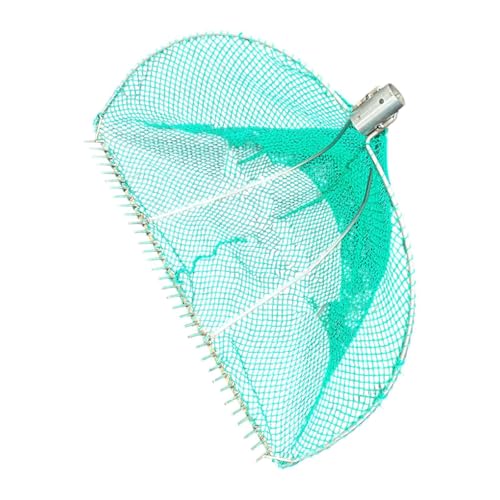 FewNvWa Werkzeug zum Ausgraben von Muscheln, tragbarer Klauenrechen, Type A von FewNvWa