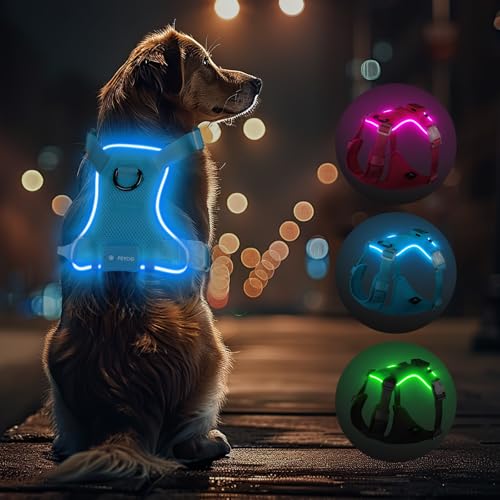 Light Up Dog Hundegeschirr Leuchtend LED Aufladbar - Leuchtgeschirr Leuchtend für Klein Mittelgroße Grosse Hund, Reflektierende Brustgeschirr Beleuchtetes Hundegeschirr, 4-Punkt Verstellbar,Blau,S Light Up Dog Hundegeschirr Leuchtend LED Aufladbar - Leuchtgeschirr Leuchtend für Klein Mittelgroße Grosse Hund, Reflektierende Brustgeschirr Beleuchtetes Hundegeschirr, 4-Punkt Verstellbar,Blau,S von Feycig