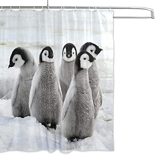 Fgolphd Duschvorhang 120x200 180x200 180x180 200x240 Textil Lustig Tier Elefant Pinguin Bunt Pink Blau?Shower Curtains Wasserdicht Dekorieren Sie Ihr Badezimmer (6,200 x 240 cm) von Fgolphd