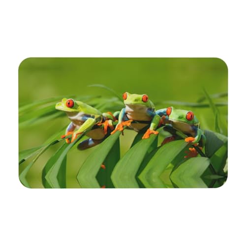 Fgwaauh Funny Frogs Kieselgur Duschmatte, rutschfest, super saugfähig, schnell trocknend, Badezimmer-Bodenmatte Fgwaauh Funny Frogs Kieselgur Duschmatte, rutschfest, super saugfähig, schnell trocknend, Badezimmer-Bodenmatte von Fgwaauh