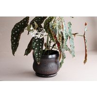 15 cm Langer Blumentopf Mit Untertasse 15 cm Langer Blumentopf Mit Untertasse von FharStudio
