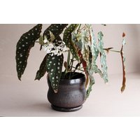 15 cm Langer Blumentopf Mit Untertasse von FharStudio