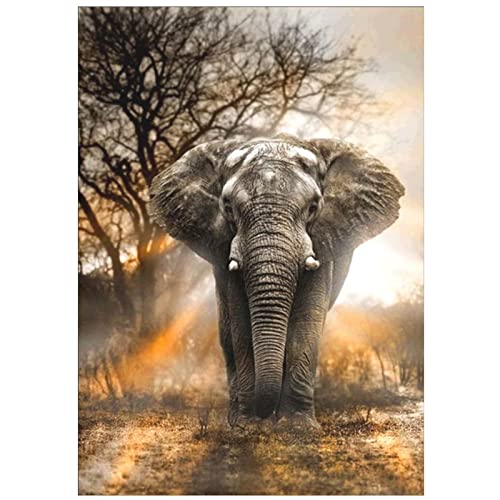 15x30cm Groß Diamond Painting Afrikanischer Elefant, Malen Nach Zahlen Erwachsene, DIY Diamant Painting Bilder Kinder, Cross Stickerei Diamant Malerei Kits, Wohnzimmer Büro Wand Dekoration -5557 von Fheeao