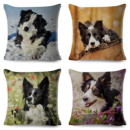 Kissenbezug 35x35cm Tierischer Hund 4er Set DekoKissen Sanft Einseitig Couchkissen Kissenbezüge mit Muster Wohnzimmer Modern Kuschelkissen Sofakissen Zierkissenbezüge kissenhülle für Loungemöbel von Fheeao