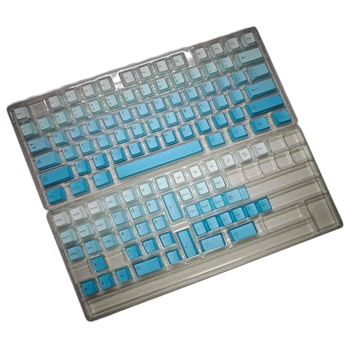 Fhkpsqkcn Farbstoff-Sublimationstastenkappen, originale Höhenverläufe, 125 Tasten, oben/seitlich gravierte Buchstaben, Tastenkappen für mechanische Tastaturen von Fhkpsqkcn