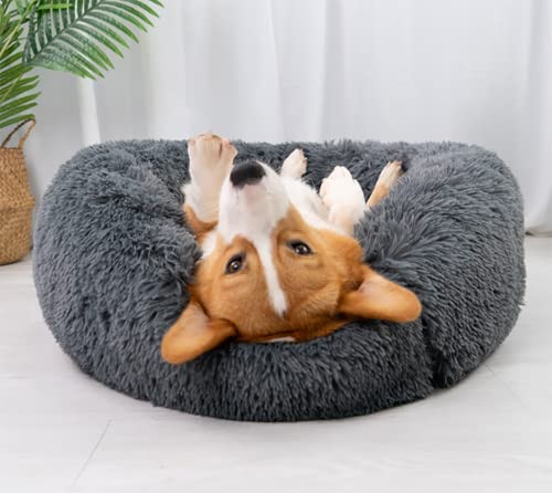 Hundebett rund katzenkissen hunde donut bett hundebett plüsch katze donut hundedonut Haustierbett für Hunde Plüsch Haustierbett Hundehütte Hundesofa Hundekissen Katzenbett Donut (L/Anzug Für 8Kg) Hundebett rund katzenkissen hunde donut bett hundebett plüsch katze donut hundedonut Haustierbett für Hunde Plüsch Haustierbett Hundehütte Hundesofa Hundekissen Katzenbett Donut (L/Anzug Für 8Kg) von Fhodigogo