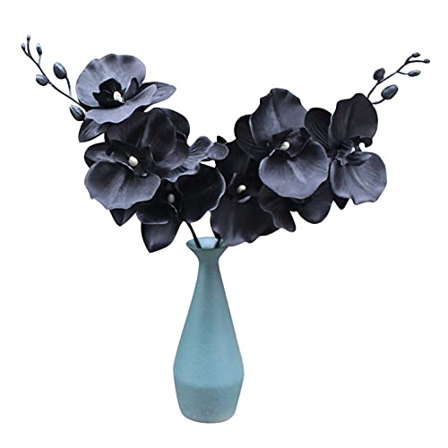 Künstliche Blume, Kunstblume, schwarzer Stoff, Phalaenopsis-Imitat, schwarz, einzelner langer Stiel, Kunstpflanzen, Hochzeit, Heimdekoration, Geschenk von Fiauli