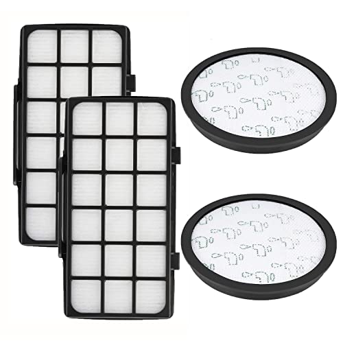 Fictezlove 2 Stück HEPA-Filter Set für Rowenta X-Trem Power Cyclonic RO6984EA RO6941EA RO6963EA RO6921EA RO6971EA RO6993EA (Modell RO69xx) Staubsauger (Vergleich ZR006001) von Fictezlove