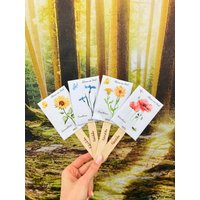 Blumen Am Stiel | 4 Verschiedene Sorten Sonnenblume, Kornblume, Ringelblume, Mohnblume Als Geschenk Zur Einschulung/Den Eigenen Garten Blumen Am Stiel | 4 Verschiedene Sorten Sonnenblume, Kornblume, Ringelblume, Mohnblume Als Geschenk Zur Einschulung/Den Eigenen Garten von Fideldidu