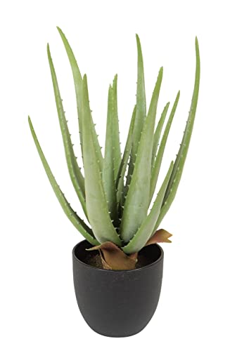 Fiebiger Floristik Künstliche Pflanze Kunstplastik-Grünflanze, für Dekoratives Wohnzimmer Wohnung Balkon Büro Aloe Vera im Topf, ca. 38cm von Fiebiger Floristik