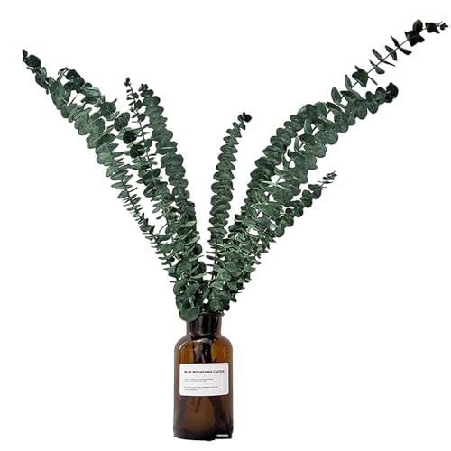 Fierudeng Getrocknete Eukalyptus Stängel, 10 Stück Künstliche Eukalyptus Pflanzen, Blumenarrangement, Trockenarrangements, Mittelstück Bündel Für Salon, Zuhause, Wohnung, Haus, Spa von Fierudeng