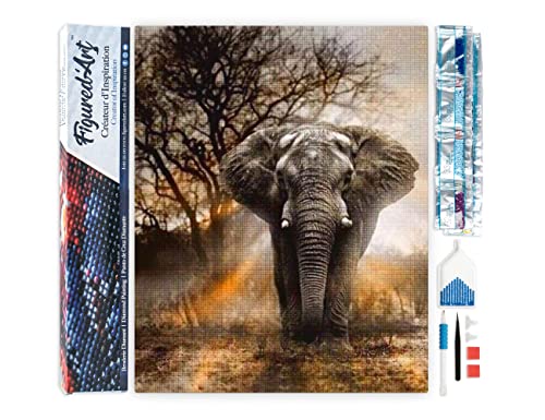 Figured'Art Diamond Painting Erwachsene 40x50cm Ganze Leinwand gerollt Elefant in der Savanne 5D Bilder Eckige Steine - DIY Set Basteln von Figured'Art