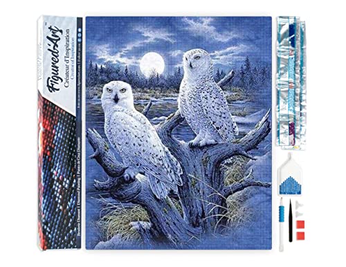 Figured'Art Diamond Painting Erwachsene 40x50cm Ganze Leinwand gerollt Eulen und Mond 5D Bilder Eckige Steine - DIY Set Basteln von Figured'Art