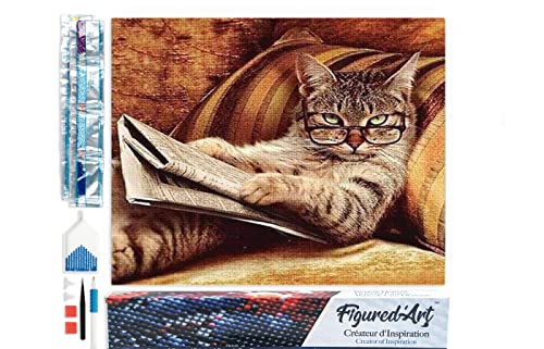 Figured'Art Diamond Painting Erwachsene 40x50cm Ganze Leinwand gerollt Lesende Katze 5D Bilder Eckige Steine - DIY Set Basteln von Figured'Art