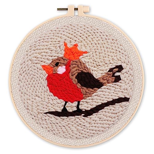 Figured'Art Punch Needle Set für Erwachsene - Stickerei, ideal für Anfänger - Rotkehlchen - 20x20cm mit rundem Rahmen von Figured'Art