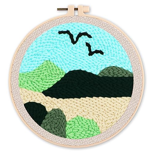 Figured'Art Punch Needle Set für Erwachsene - Stickerei, ideal für Anfänger - Vögel am Himmel - 20x20cm mit rundem Rahmen von Figured'Art