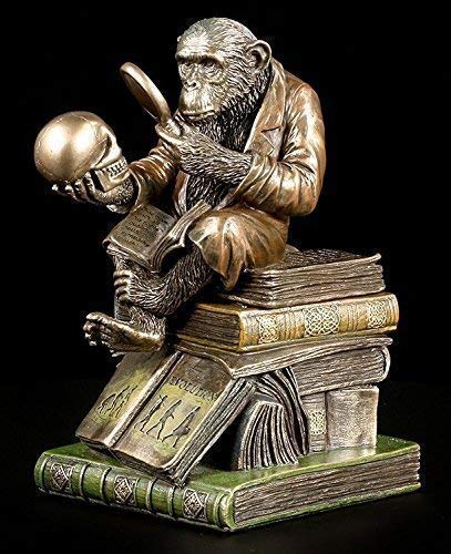 AFFE mit Schädel - Darwinismus Evolutionstheorie | Veronese Figur Statue Bronze-Optik von Figuren Shop GmbH