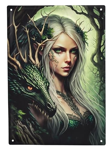 Blechschild Drache Hexe Waldwächter 40 cm - Fantasy Wand Deko Schild Metallschild Gothic Blech Metall von Figuren Shop GmbH