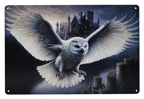 Blechschild Eulen Bote 30 cm - Fantasy Wand Deko Schild Metallschild Gothic Blech Metall Schneeeule Botschaft von Figuren Shop GmbH