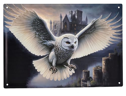 Blechschild Eulen Bote 40 cm - Fantasy Wand Deko Schild Metallschild Gothic Blech Metall Schneeeule Botschaft Relief geprägt von Figuren Shop GmbH