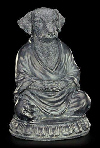 Buddha Figur - Meditierender Hund - Lustiges Geschenk Meditation von Figuren Shop GmbH