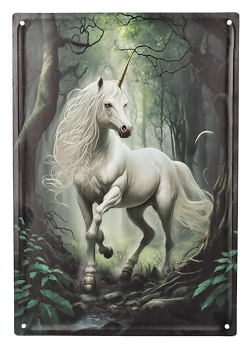 Das letzte Einhorn Blechschild 40 cm - Fantasy Wand Deko Schild Metallschild Blech Metall Drache Das letzte Einhorn Blechschild 40 cm - Fantasy Wand Deko Schild Metallschild Blech Metall Drache von Figuren Shop GmbH