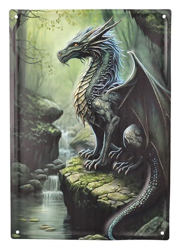 Figuren Shop GmbH Blechschild Der letzte Walddrache 40 cm - Fantasy Wand Deko Schild Metallschild Gothic Blech Metall Drache Figuren Shop GmbH Blechschild Der letzte Walddrache 40 cm - Fantasy Wand Deko Schild Metallschild Gothic Blech Metall Drache von Figuren Shop GmbH