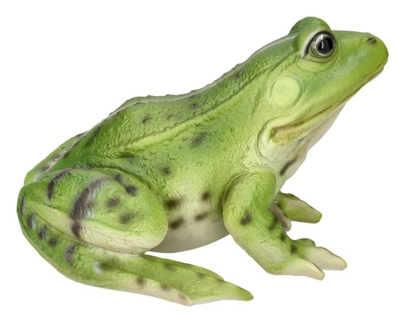 Figuren Shop GmbH Gartenfigur Gartenfigur - Großer Frosch grün - Tierfigur HotAnt Garten Figur Deko von Figuren Shop GmbH