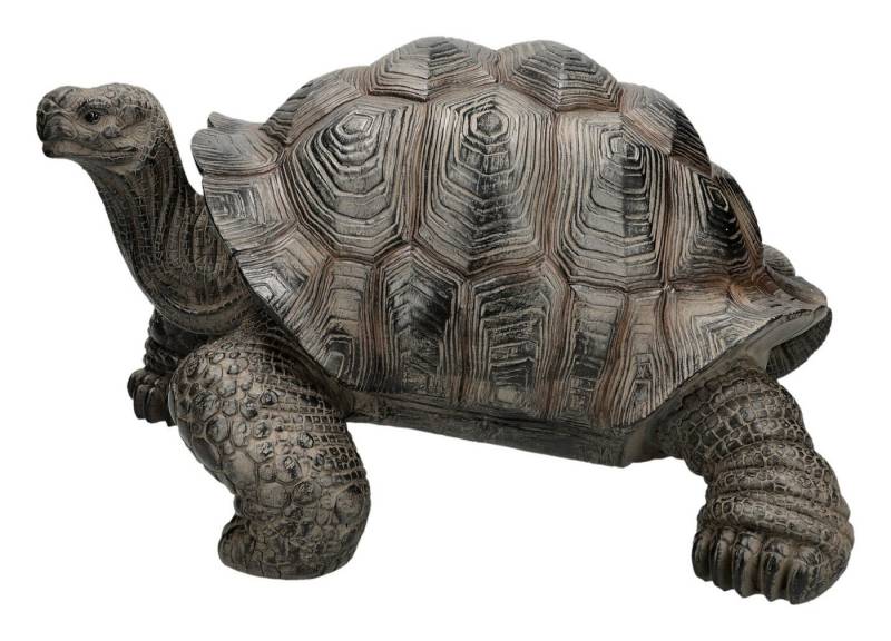 Figuren Shop GmbH Gartenfigur Gartenfigur Schildkröte XL – Tier Statue handbemalt wetterfest 48 cm von Figuren Shop GmbH