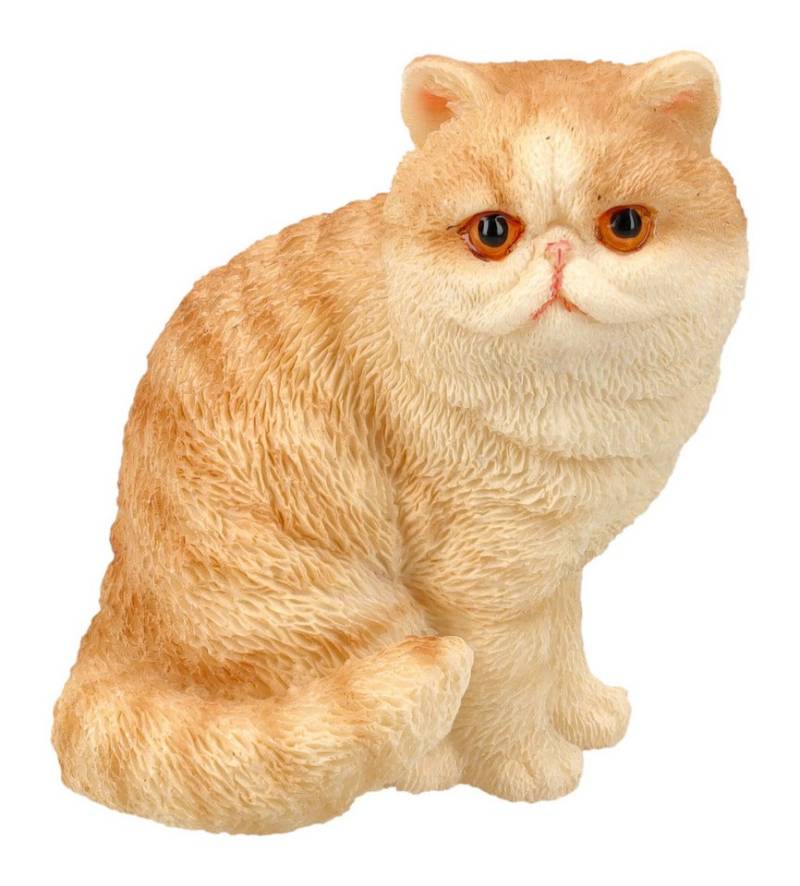 Figuren Shop GmbH Gartenfigur Katzenfigur - Exotisch Kurzhaar sitzend mini - Gartenfigur Dekofigur Figuren Shop GmbH Gartenfigur Katzenfigur - Exotisch Kurzhaar sitzend mini - Gartenfigur Dekofigur von Figuren Shop GmbH