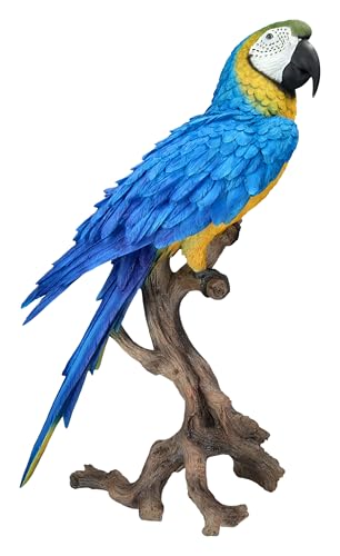 Gartenfigur XXL Ara Vogel – realistische Gelbbrustara Dekofigur von HotAnt, große Tierstatue 67 cm von Figuren Shop GmbH