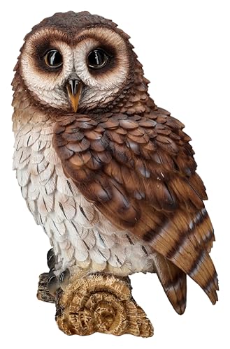 Figuren Shop GmbH Gartenfigur starrenede Eule von HotAnt 21 cm - Realistische Dekoration, Garten Vogel Tier von Figuren Shop GmbH