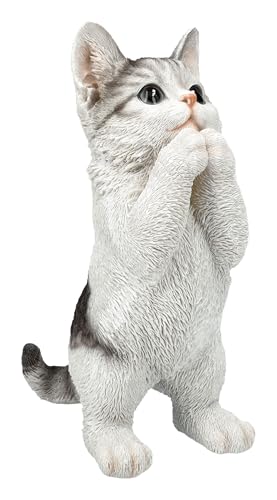 Katzenfigur Kitten bettelt – Handbemalte Polyresin Dekofigur von HotAnt, 22,5 cm, wetterfest für Haus & Garten von Figuren Shop GmbH