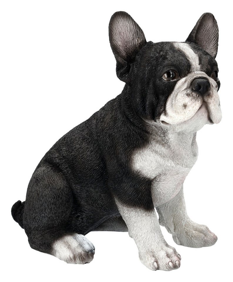 Figuren Shop GmbH Tierfigur Französischer Bulldogge Welpen Figur - Dekofigur Hunde Tierfigur Figuren Shop GmbH Tierfigur Französischer Bulldogge Welpen Figur - Dekofigur Hunde Tierfigur von Figuren Shop GmbH