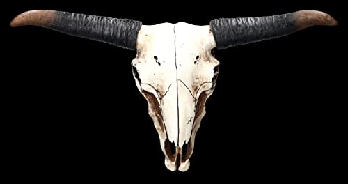 Figuren Shop GmbH Wanddeko Longhorn Totenkopf 49 cm groß - Relief mit Hörnern | Trophäe Kopf Rind Longhorn Bulle Büffel Schädel von Figuren Shop GmbH