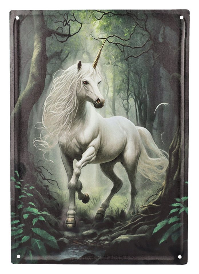 Figuren Shop GmbH Wanddekoobjekt Blechschild - Das letzte Einhorn - Fantasy Dekoschild Metallschild von Figuren Shop GmbH