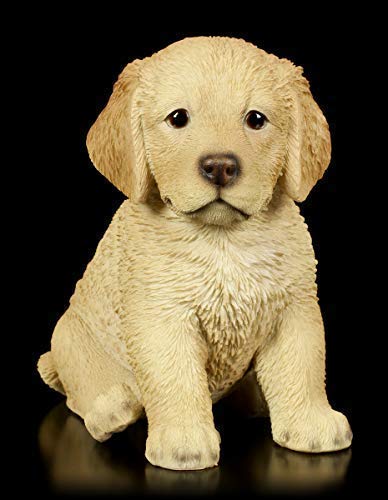 Hunde-Baby Figur Golden Retriever Welpe | Tier-Figur, handbemalt von Figuren Shop GmbH