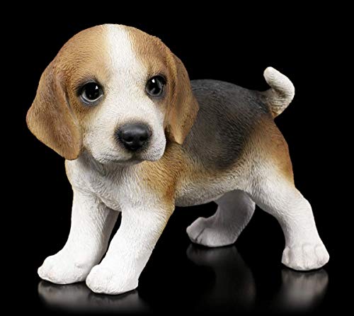 Hunde Figur - Beagle Welpe stehend | Deko-Figur, Deko-Artikel, Hunde-Baby, H 12,5 cm von Figuren Shop GmbH