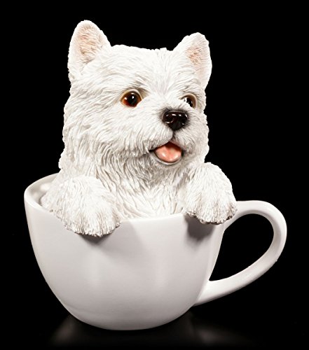 Niedlicher West Highland White Terrier Welpe in Tasse | Hund Figur Deko Geschenk lustig witzig von Figuren Shop GmbH