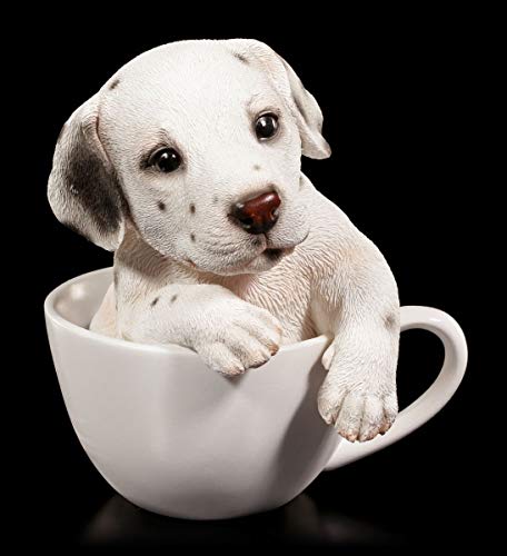 Süßer Dalmatiner Welpe in Tasse | Hund Figur Deko Statue von Figuren Shop GmbH