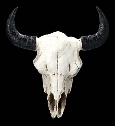 Wanddeko Bison Totenkopf 31 cm Wand Relief mit Hörnern | Trophäe Kopf Rind Longhorn Hörner Bulle Skulptur Figur von Figuren Shop GmbH