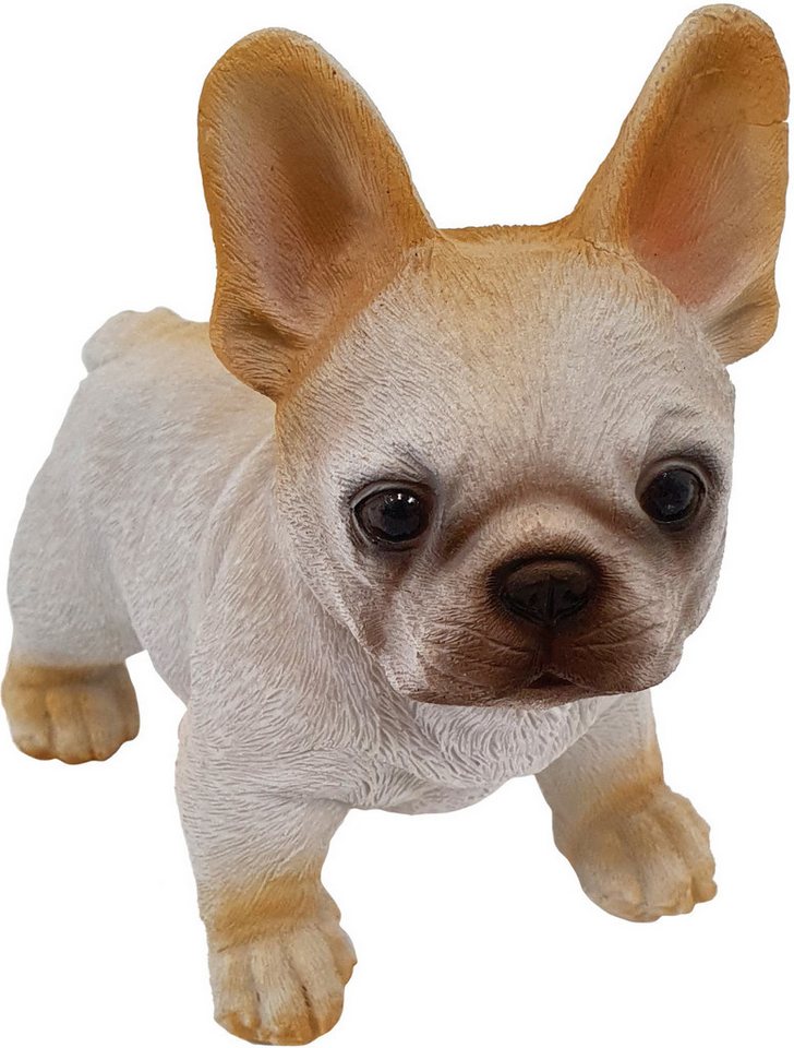 Figurendiscounter Dekofigur Dekofigur Bulldogge-Welpe 13 x 8 x 15 cm Figurendiscounter Dekofigur Dekofigur Bulldogge-Welpe 13 x 8 x 15 cm von Figurendiscounter