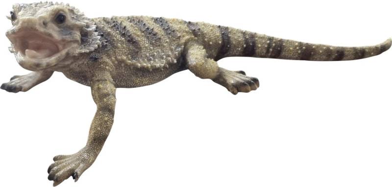 Figurendiscounter Dekofigur Dekofigur Eidechse 32 cm beige braun Figurendiscounter Dekofigur Dekofigur Eidechse 32 cm beige braun von Figurendiscounter